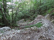 Monte Suchello (1541 m) ad anello da Costa Serina il 28 agosto 2024   - FOTOGALLERY